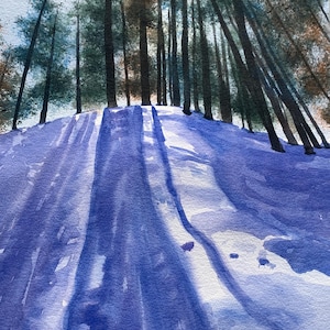 Snowshoe Hike