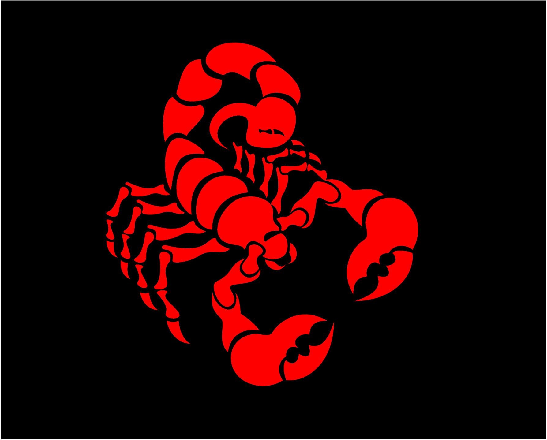 Scorpion decal Scorpion car decal scorpio decal Custom Vinyl Etsy