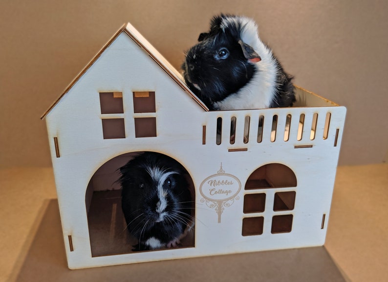 Guinea Pig House Wooden pet house Cardboard small pet house Etsy