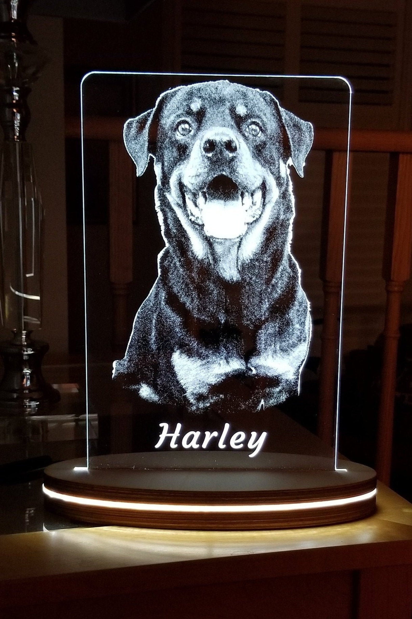 Pet portrait wooden lamp Pet memorial pet portraits uk dog Etsy