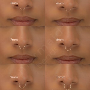 Cartilage Earring Hoop Size Nose Ring Septum Helix Tragus 22g 20g 18g Endless Hoop Earrings Gold Silver Rose Gold Tiny Piercing Rook Conch imagen 7