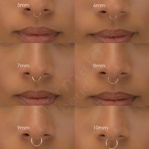 NOSE RING • waterproof • quality seamless twist hoop • 14k gold filled, rose or sterling silver image 12