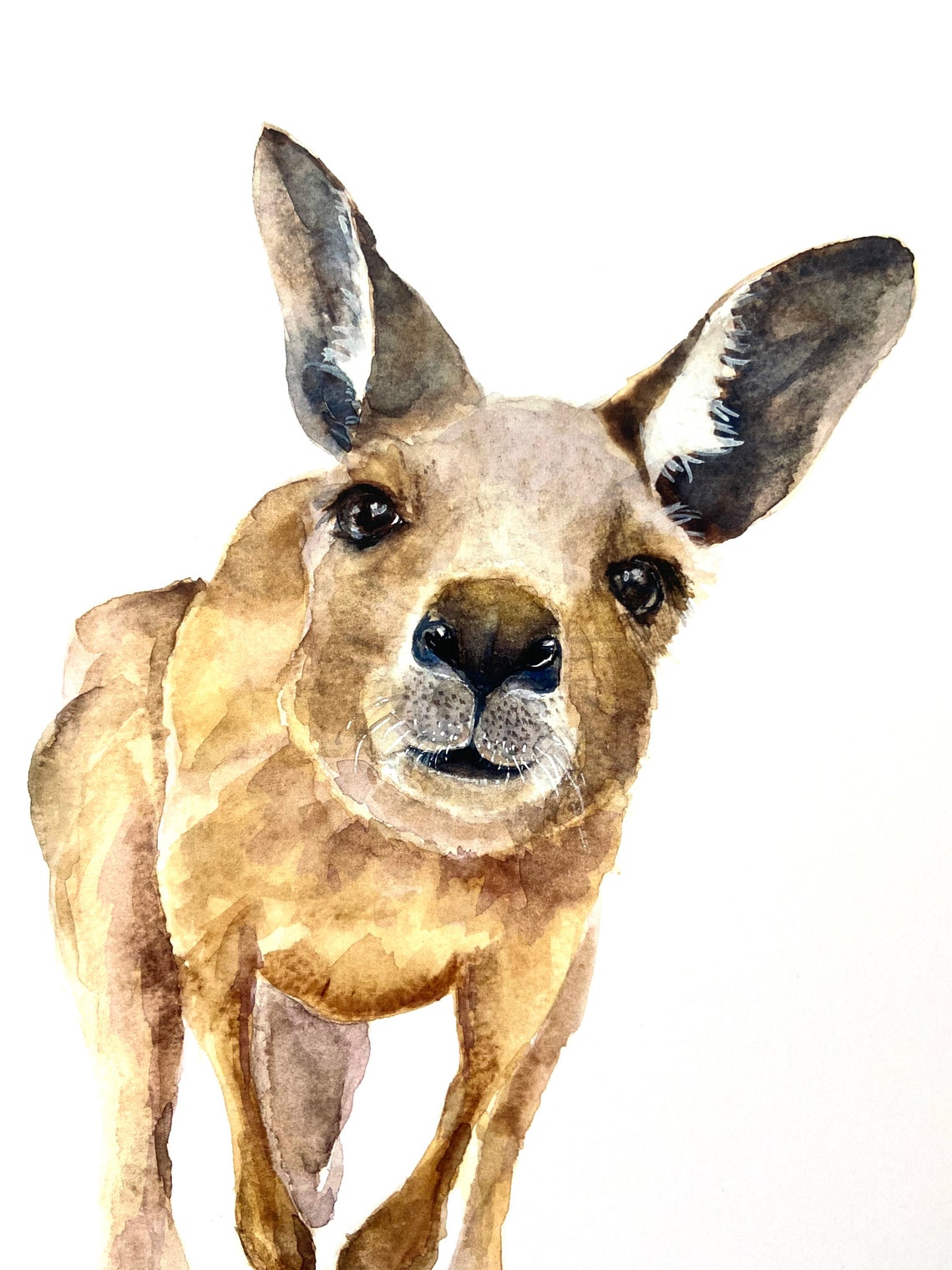 Kangaroo Card With Envelope Kangaroo Note Card Animal Print | Etsy