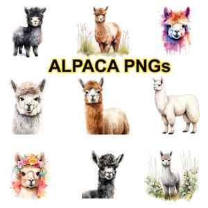 Alpaca PNG clip art with transparent background, black alpaca clipart, illustration of alpaca, watercolor png, PNG bundle, brown alpaca png