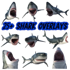 Great white shark clip art, shark PNG photoshop overlays, Shark clipart, great white photoshop overlays, Shark PNG bundle, instant download