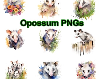 Pakiet clipartów akwarelowych z oposem w formacie PNG, przezroczyste tło (pobieranie cyfrowe)