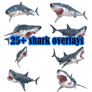 Great white shark clip art, shark PNG photoshop overlays, Shark clipart, photoshop overlays, overlay bundle, horror png, shark sublimation