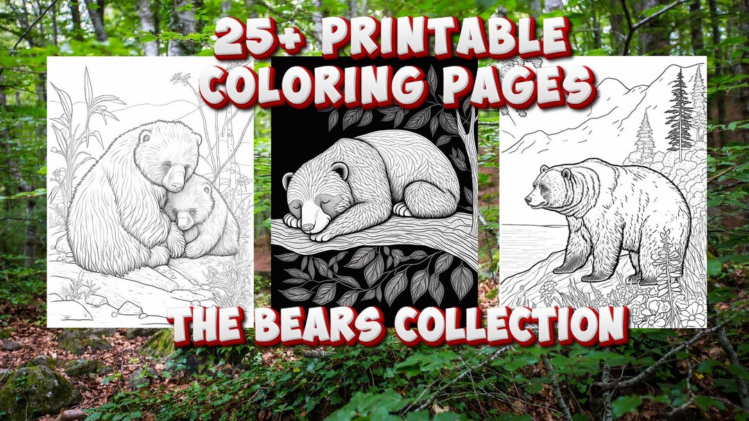 Bear Coloring Sheet Printables With Quotes