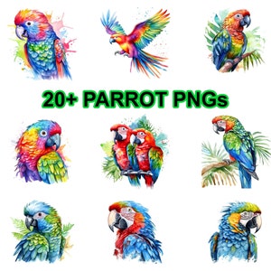20+ Parrot png bundle, parrot clip art, rainbow watercolor Parrot PNG, tropical parrot clipart, parrot sublimation png, parrot clipart