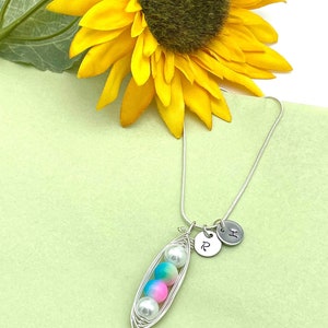 Puede incluir: Un collar de plata con un dije de vaina de guisante con tres cuentas de colores y dos dijes de iniciales de plata, uno con la letra "R" y el otro con la letra "H".