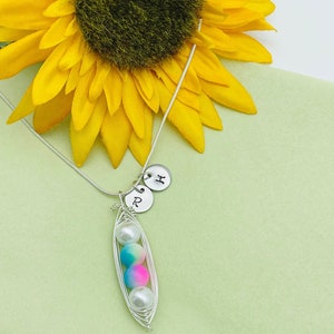 Puede incluir: Un collar de plata con un dije en forma de vaina de guisante. El dije tiene tres cuentas blancas y rosadas en su interior. El collar tambi&eacute;n tiene dos discos de plata con las letras 'R' y 'H' en ellos.