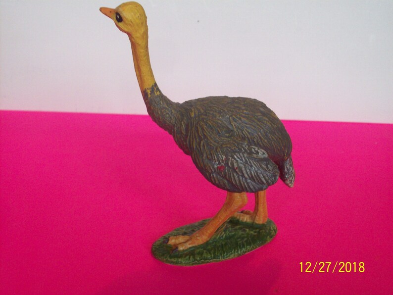 Vintage Bird Ostrich Bird Kid/'s Science ,Art or Nature or Craft Projects 4.5 Tall