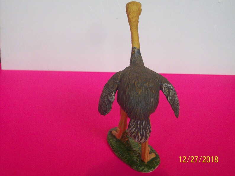 Vintage Bird Ostrich Bird Kid/'s Science ,Art or Nature or Craft Projects 4.5 Tall