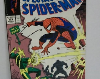 アメイジング スパイダーマン #330 ゲスト パニッシャー VG-VF