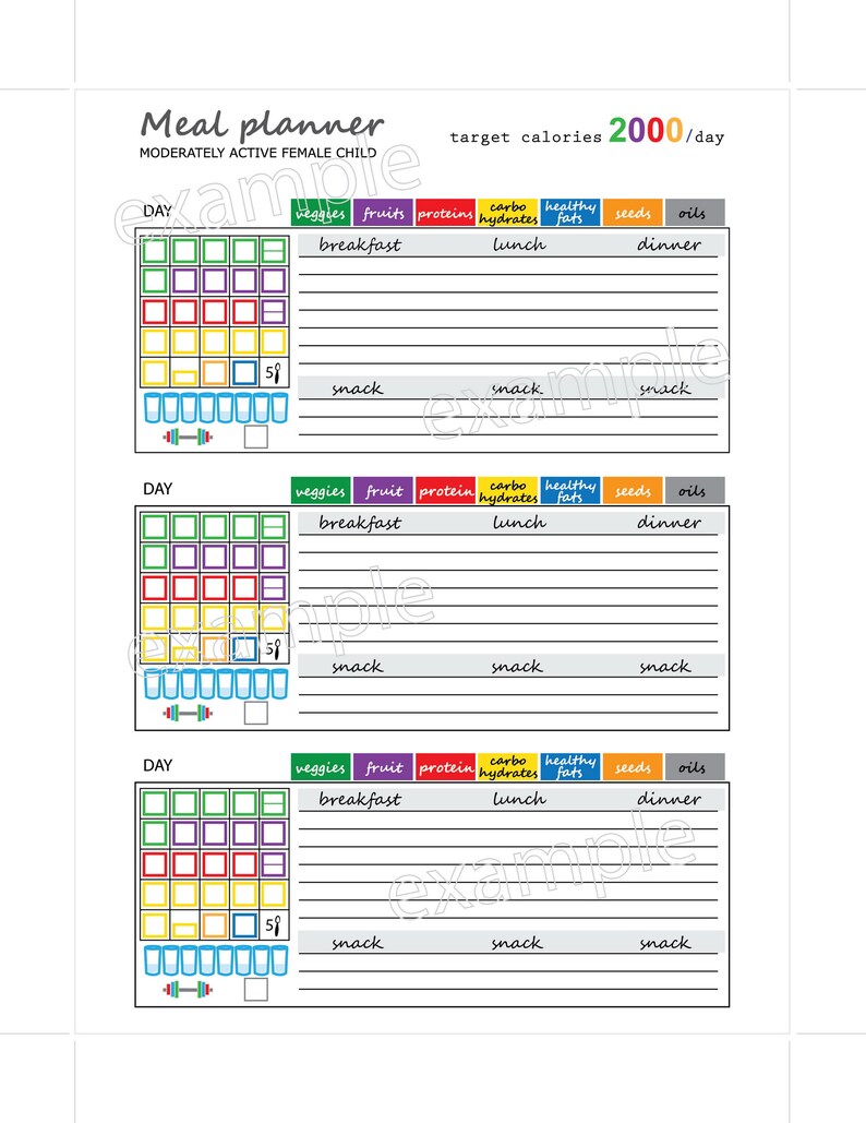 Meal Planner Printable, Food Journal Happy Planner Size Insert , 1800 ...