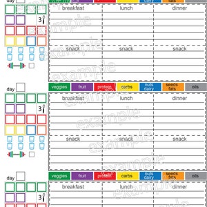Daily Meal Planner, 1200 Calorie Diet Plan, Food Journal, Grocery List, and More Easy to Use for ...
