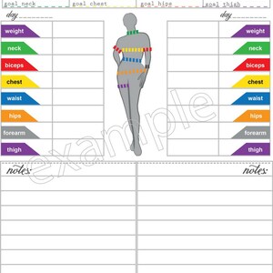 May include: A printable body measurement chart with a grey silhouette of a person with lines indicating where to measure. The chart includes sections for recording measurements for weight, neck, biceps, chest, waist, hips, forearm, and thigh. The chart also includes sections for notes.
