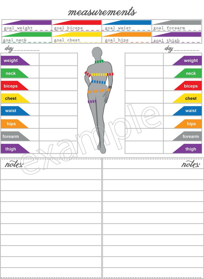 May include: A printable body measurement chart with a grey silhouette of a person with lines indicating where to measure. The chart includes sections for recording measurements for weight, neck, biceps, chest, waist, hips, forearm, and thigh. The chart also includes sections for notes.