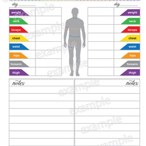 May include: A printable measurement chart for tracking body measurements. The chart includes sections for weight, neck, biceps, chest, waist, hips, forearm, and thigh. The chart also includes a section for notes.