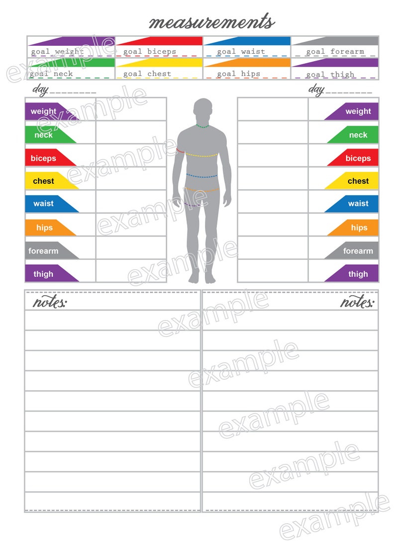 May include: A printable measurement chart for tracking body measurements. The chart includes sections for weight, neck, biceps, chest, waist, hips, forearm, and thigh. The chart also includes a section for notes.