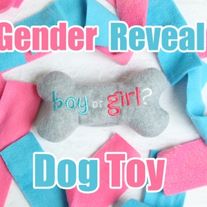 Gender Reveal Dog Toy - Pink or Blue Stuffing Dog Toy - Dog Pregnancy Announcement - Big Brother Dog - Big Sister Dog - Squeaky Dog Toy