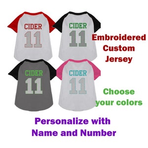 Custom Name Baseball Jersey Pet, Raglan Embroidered Name Number Personalized Dog Shirt, Custom Name Dog Tee, Puppy Clothing, Name Dog Shirt