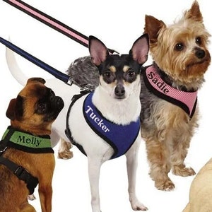 Custom name dog harness shop