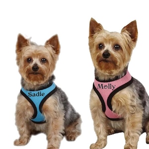 Personalized Dog Harness Custom Dog Harness Dog Name Harness Custom Name Puppy Harness Embroidered Name Soft Mesh Harness Dog