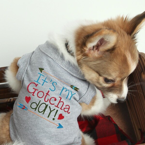Gotcha Day Dog Shirt - Dog Adoption Shirt - Rescue Dog Shirt - Personalized Dog Shirt - Custom Dog Shirt - Dog Shirt with Name - Adoption
