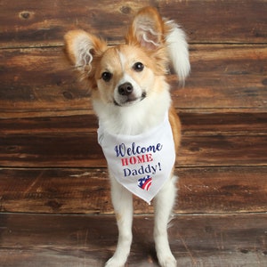 May include: A small, white dog with brown and white fur wearing a white bandana with the text "Welcome Home Daddy!" in red and blue. The bandana has a red, white, and blue heart with stars on it.