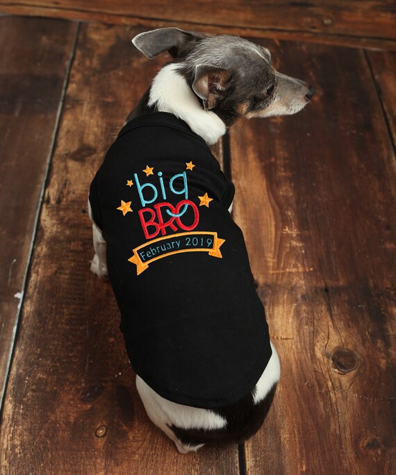 Big Brother  Dog T-Shirt  9 Colors  Made in USA  Dog Screen Print T-Shirt  Big Brother Dog T-Shirt