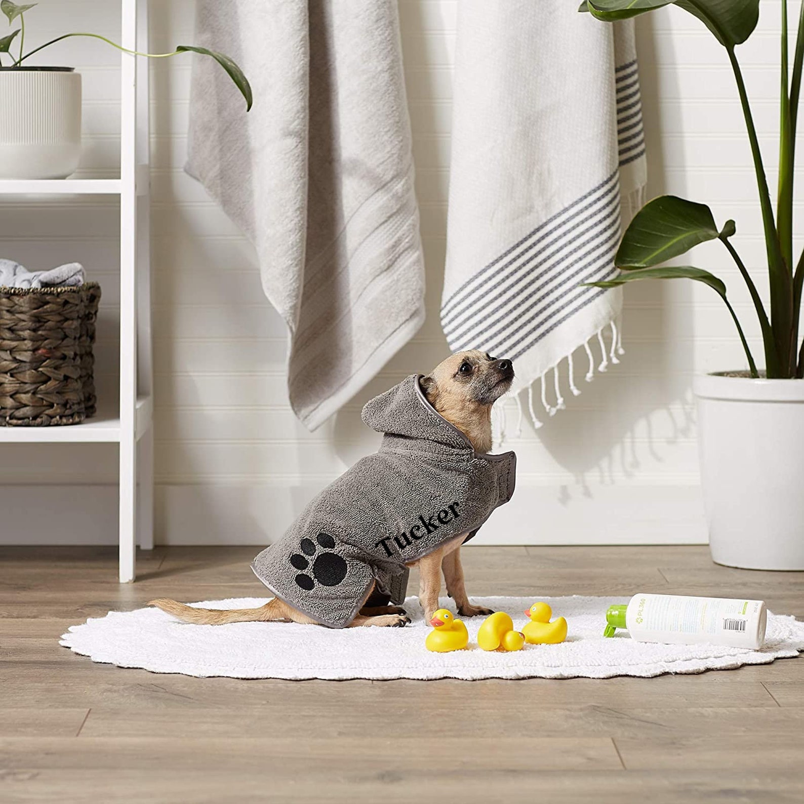 Personalized Dog Robe Embroidered Dog Robe Hooded Robe Towel for Dogs