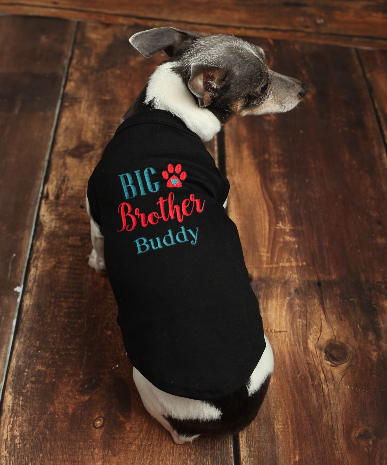 guy and dog matching shirts