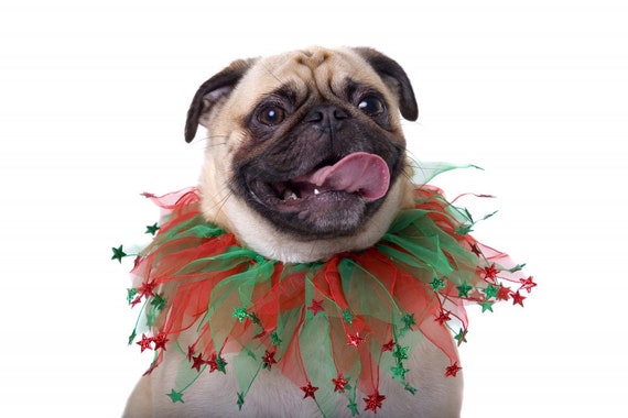 Etsy christmas cheap dog collars