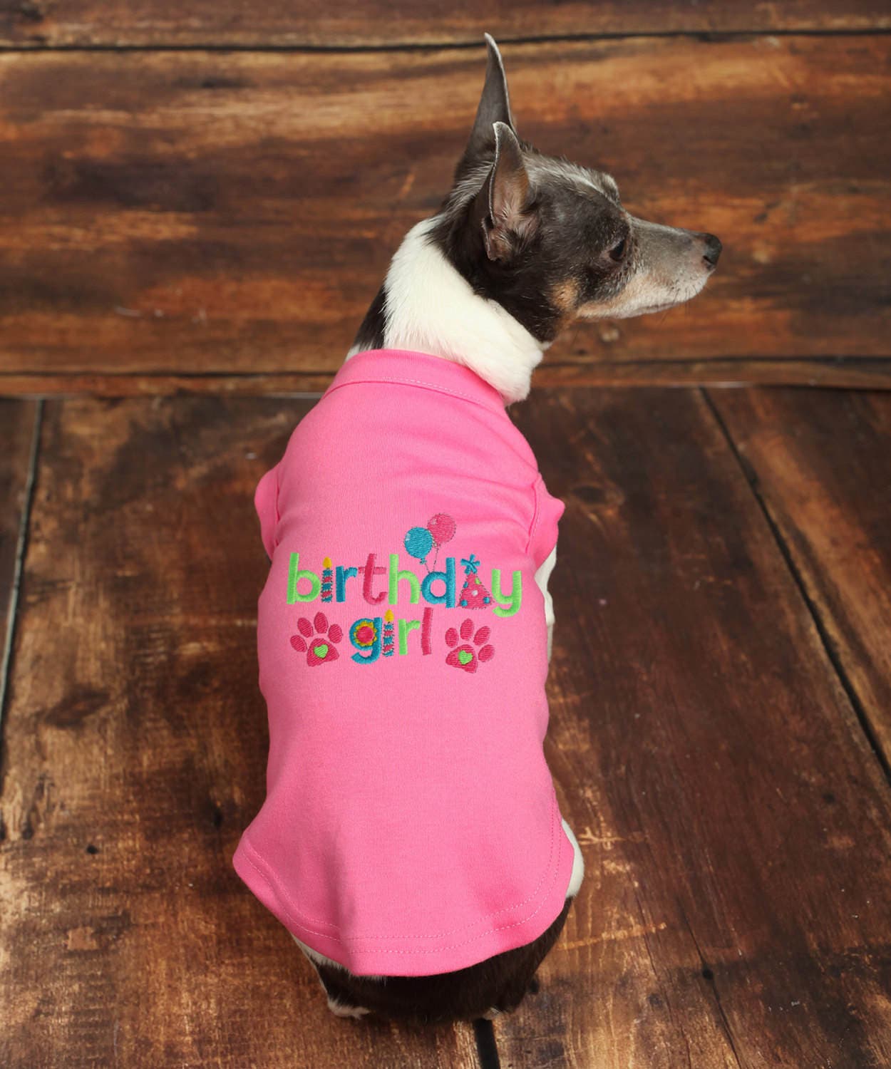 Birthday Girl Dog Shirt Dog Birthday Shirt Custom Etsy