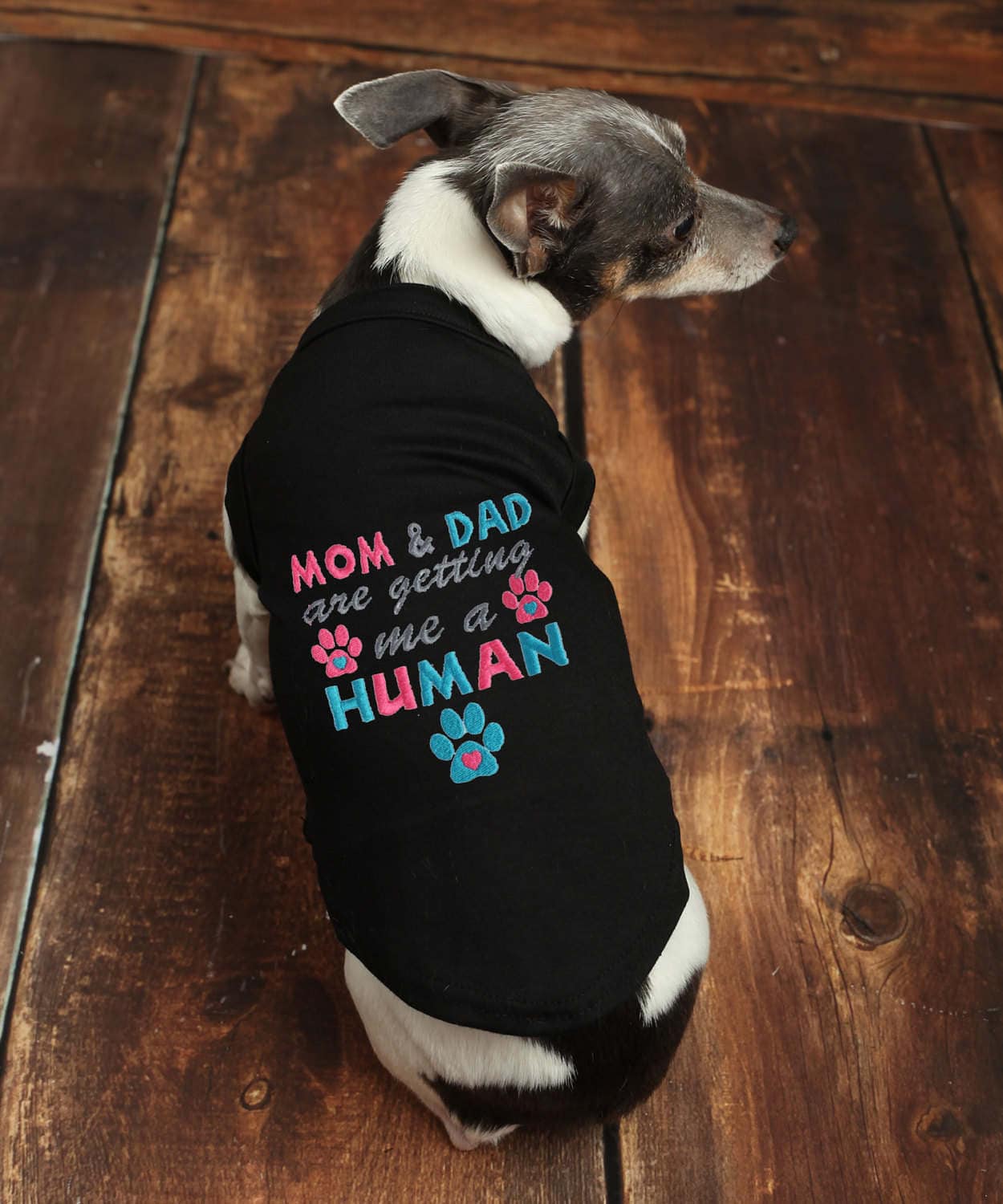 Dog clothes from baby clothes hotsell