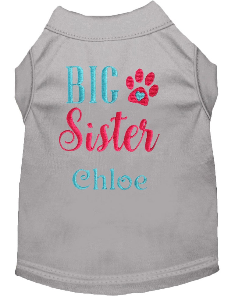 big brother little sister dog shirts