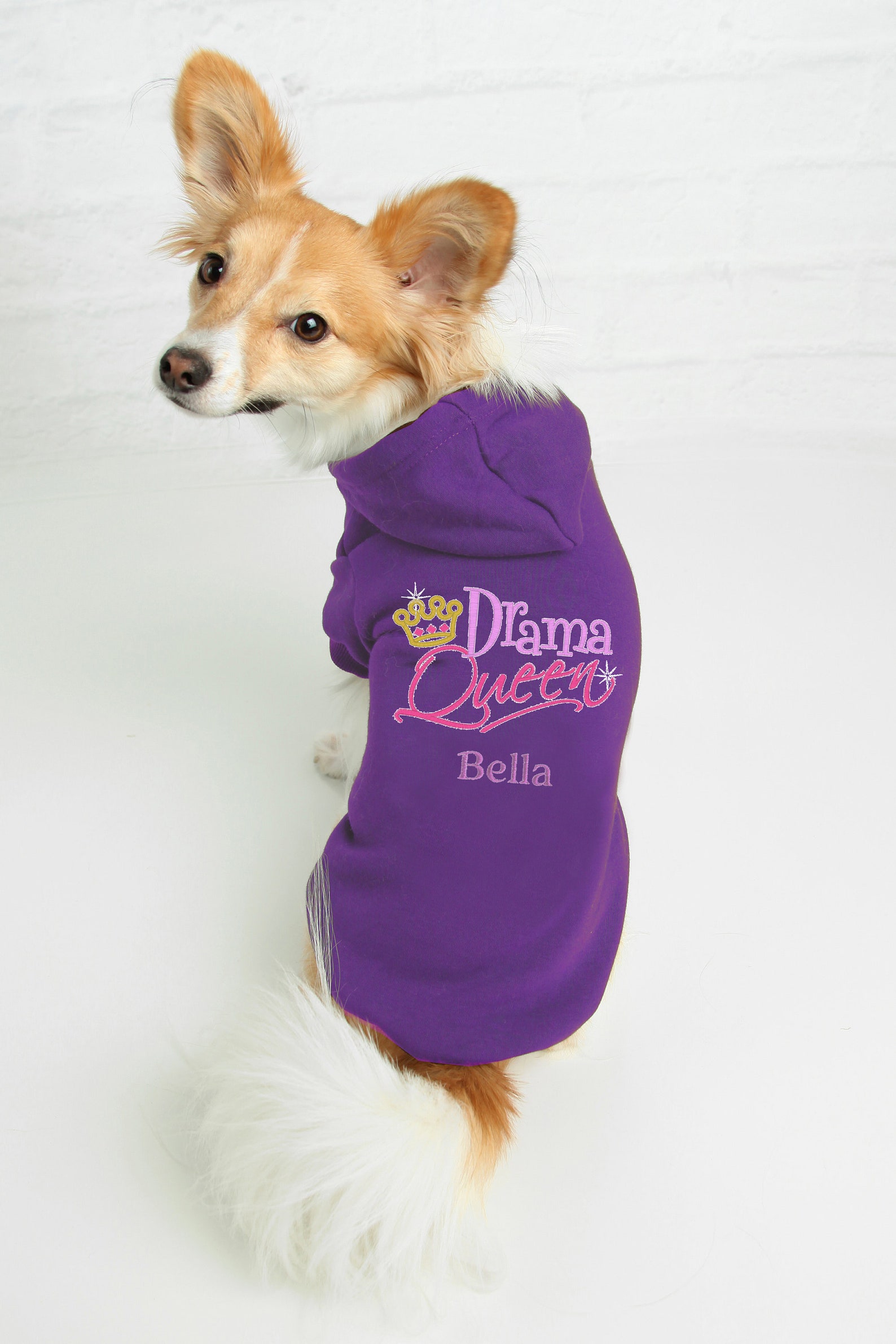 Drama Queen Embroidered Dog Hoodie Custom Girl Dog Drama Queen Etsy UK