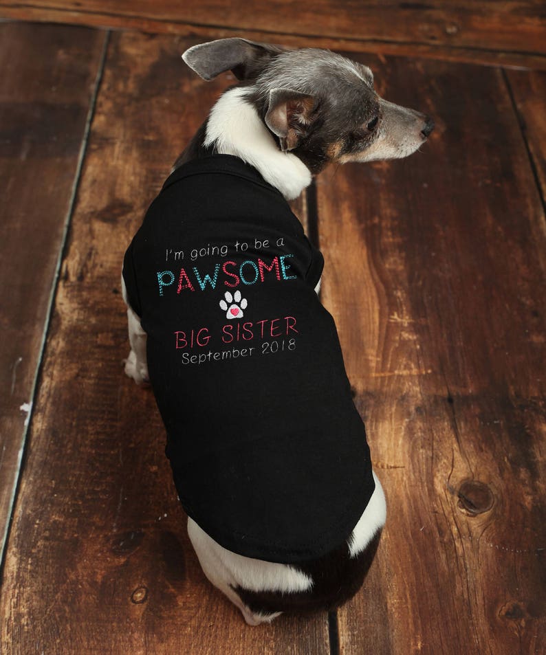 Dog Pregnancy Announcement Big Sister Dog Shirt Baby Etsy