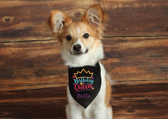 Etsy dog hotsell birthday bandana