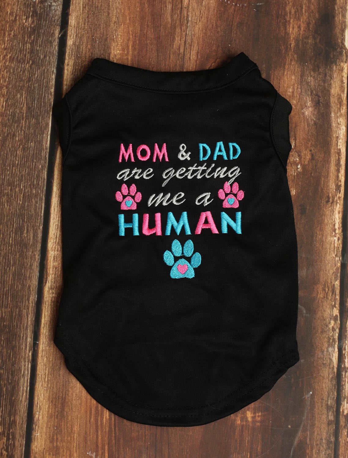Human Dog Shirt Big Sister Dog 
