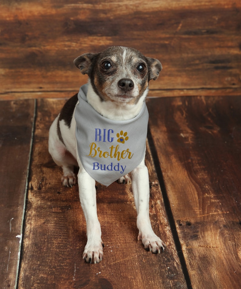 Dog Baby Announcement Bandana Big Brother Dog Bandana Big Etsy