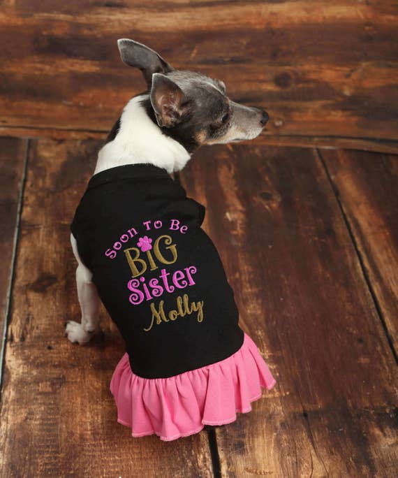 Dog Dress Personalized Big Sister Soon to Be Big Sister Dog Dress Pregnancy Announcement Sister Pet Dress Baby Announcement Dog Dress Etsy