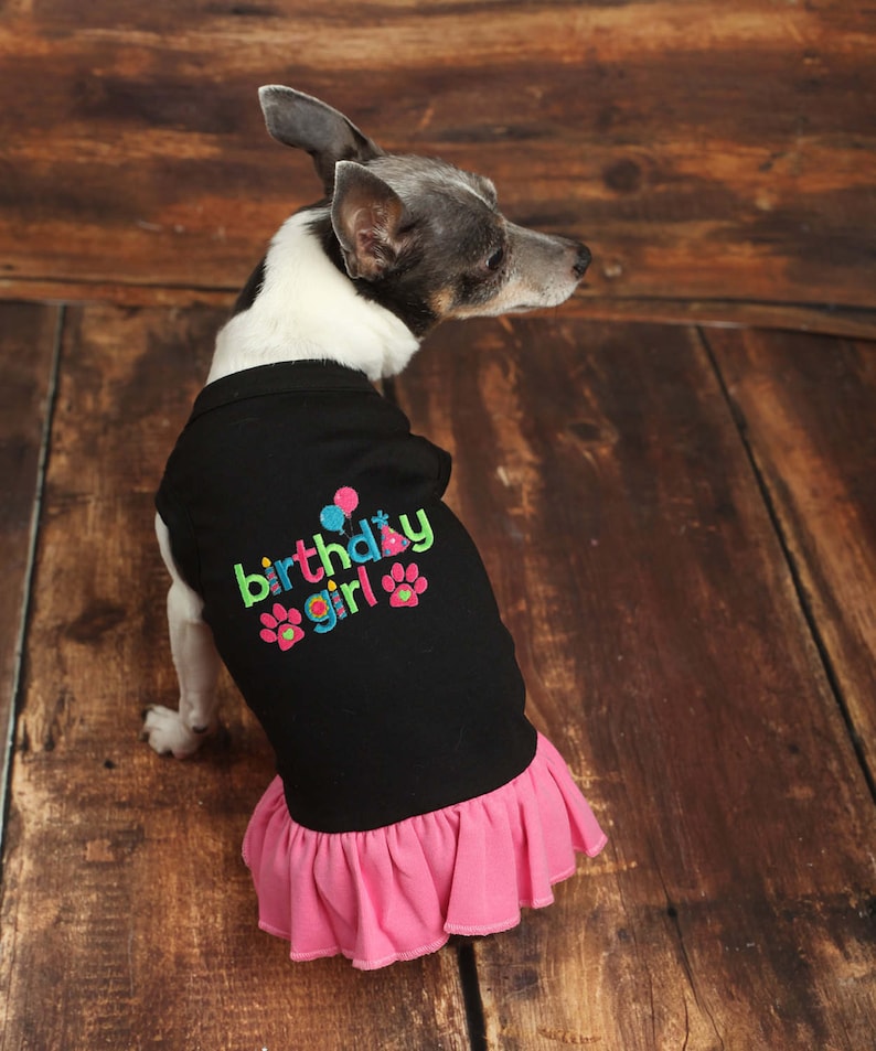 Dog Birthday Party Dress