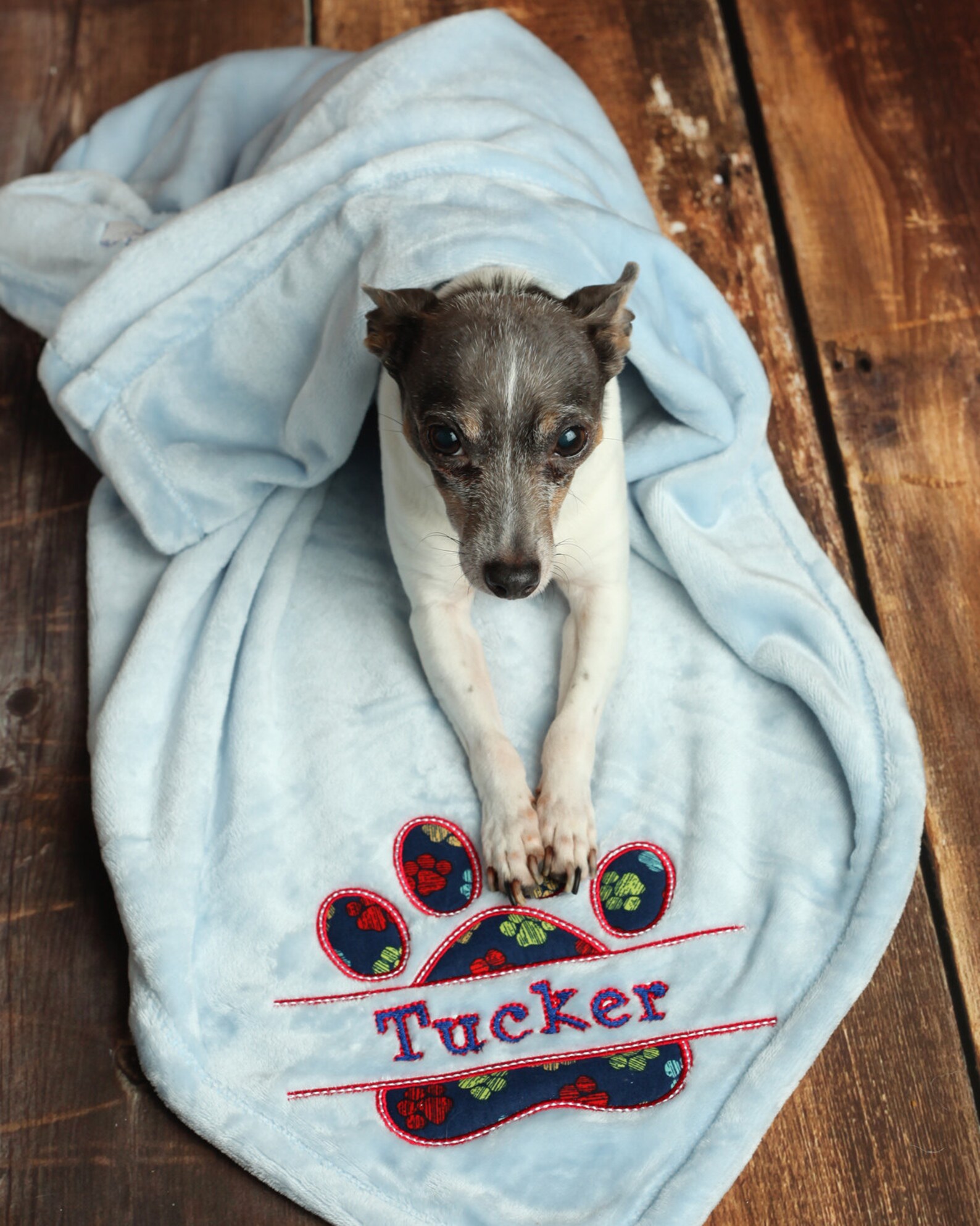 Custom Dog Blanket With Name Custom Pet Blanket Cat Etsy