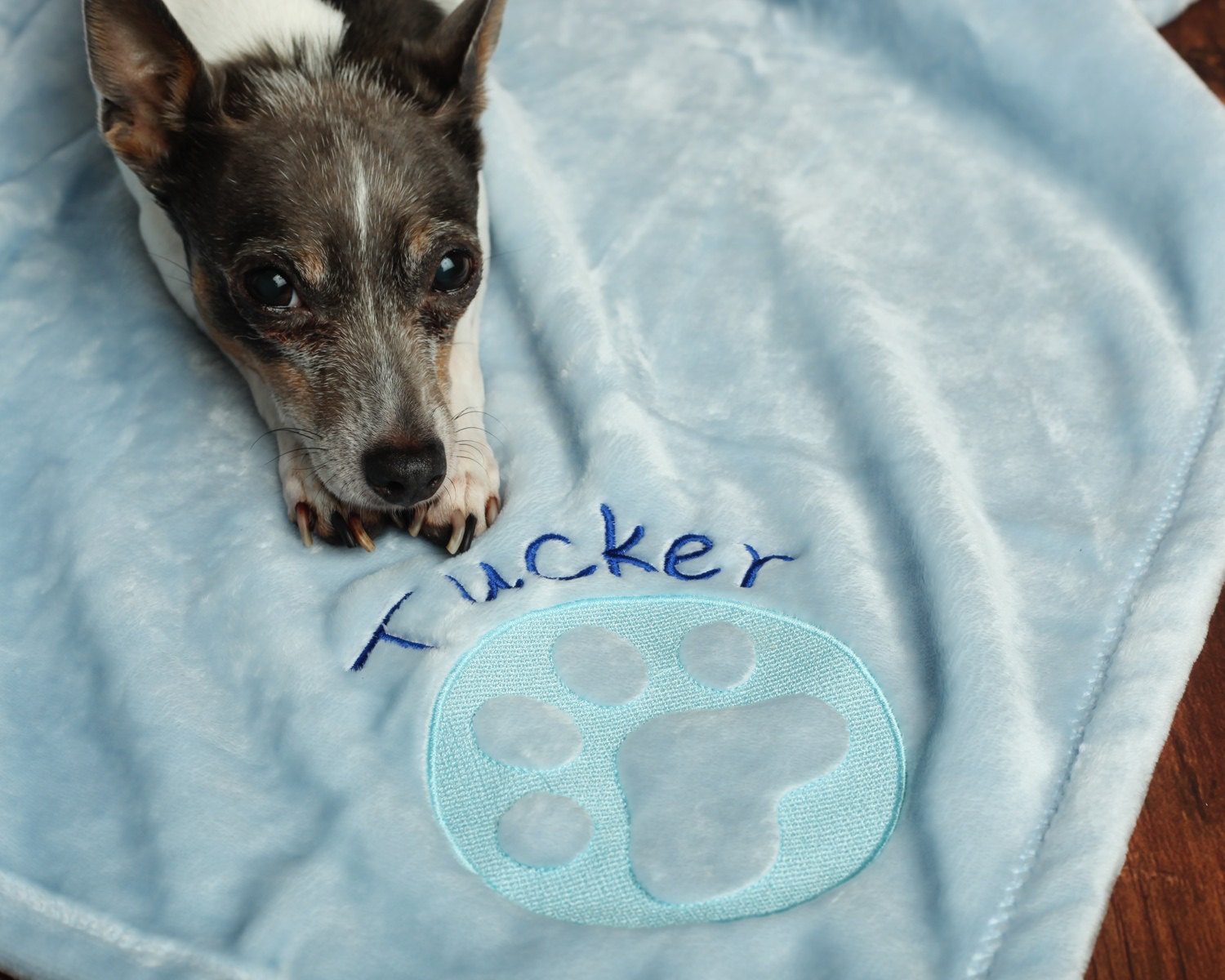 Embossed Personalized Dog Blanket Etsy