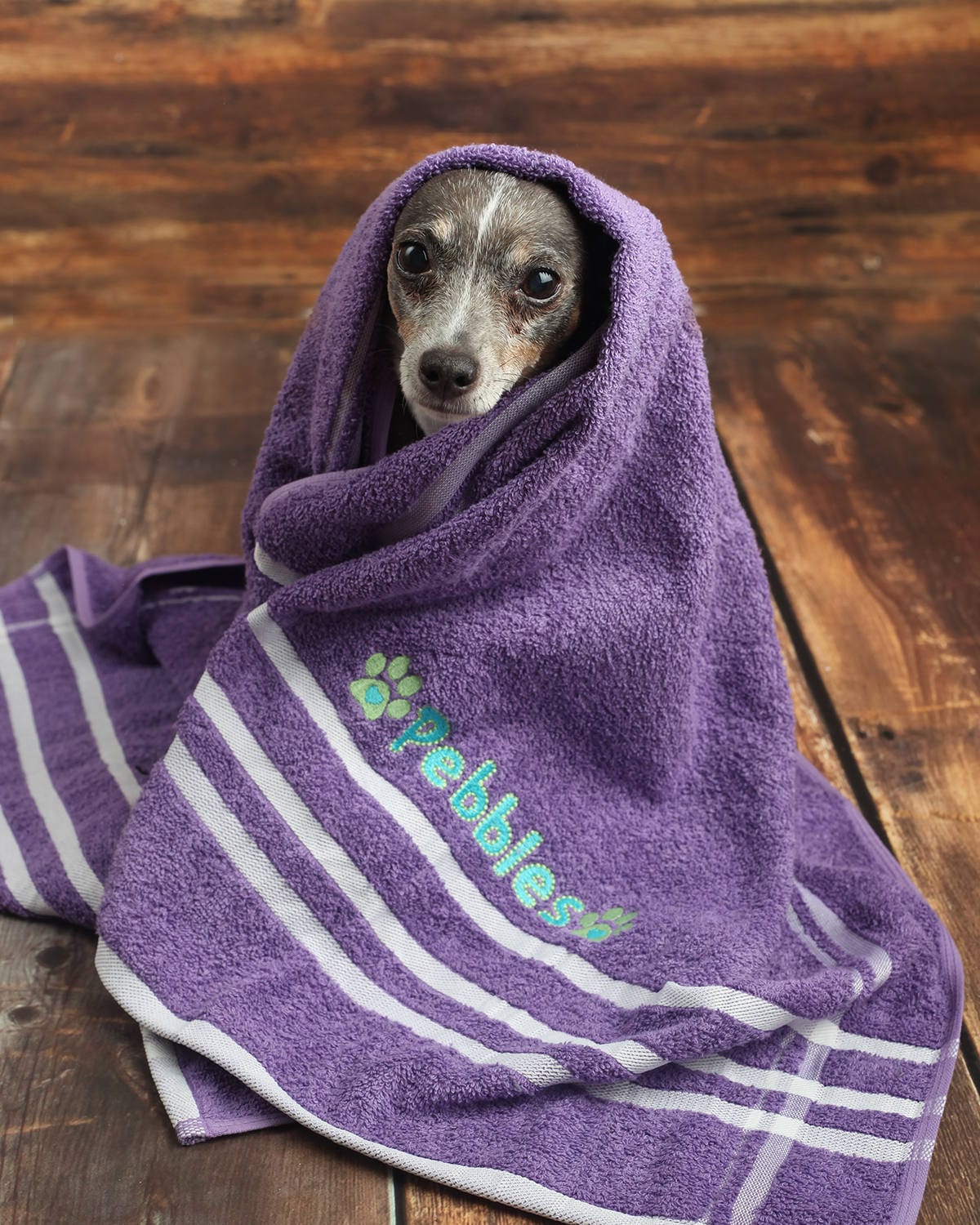 Dog Bath Towel Personalized Dog Towel Custom Pet Towel Etsy