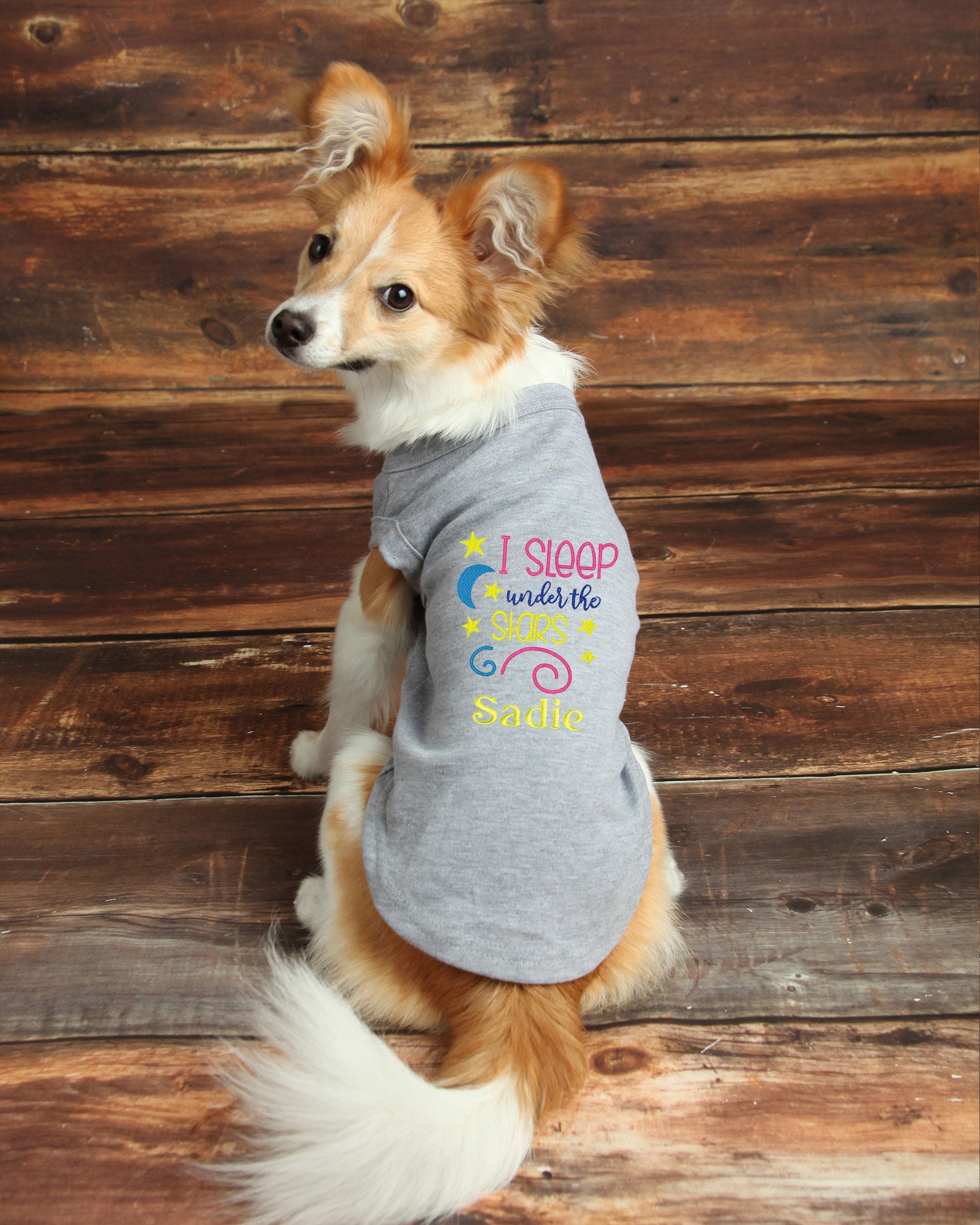 Why Does My Dog Sleep On My Clothes