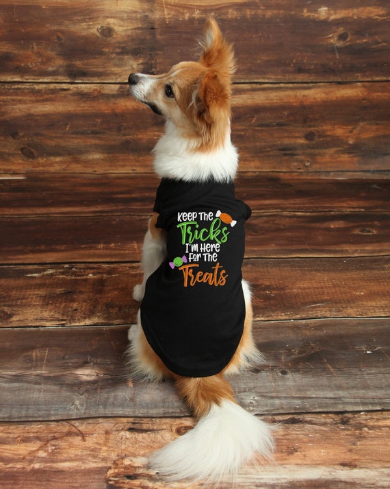 Halloween dog clothes online