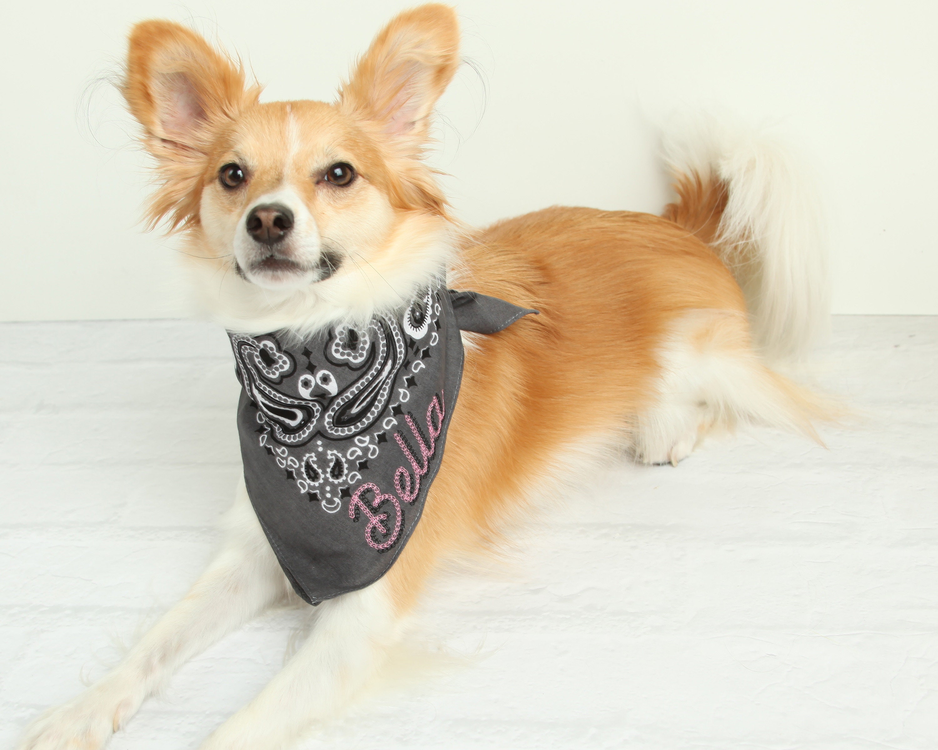 Personalized Dog Bandana Name Chainstitch Embroidered Etsy